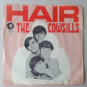 Single The Cowsills Hair