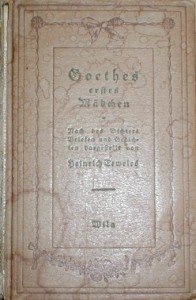 Goethes erstes Mdchen, minibog