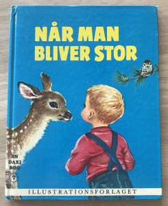 Daxi-bog nr. 7 Nr man bliver stor