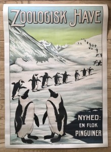 Zoo plakat Pingviner
